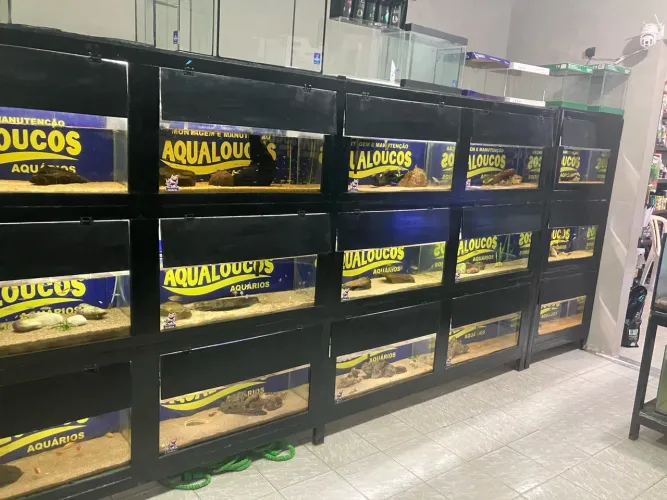 Aquários pra vender