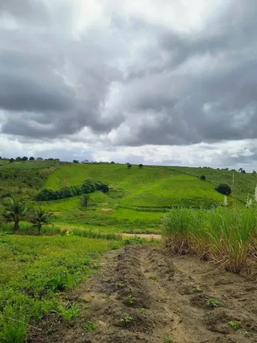 Terreno entre Flexeiras e são Luís as margens do asfalto