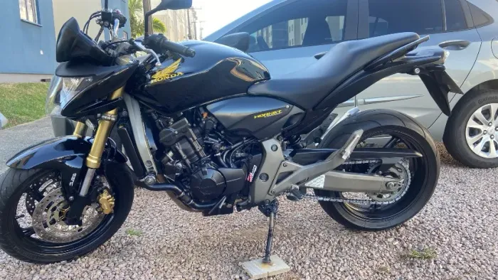 HORNET 2010 COM ABS