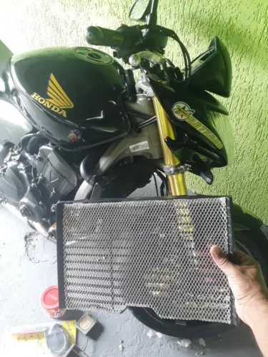 Protetor de Radiador Hornet 08/14