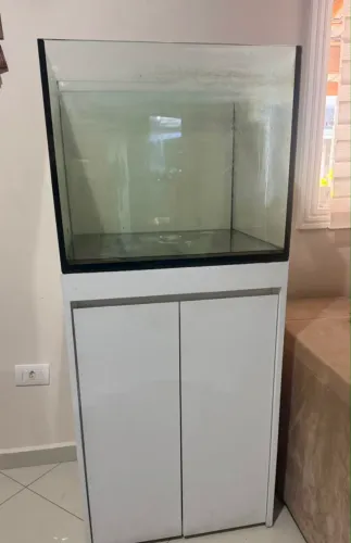 Aquário 50 litros com filtro e móvel de apoio