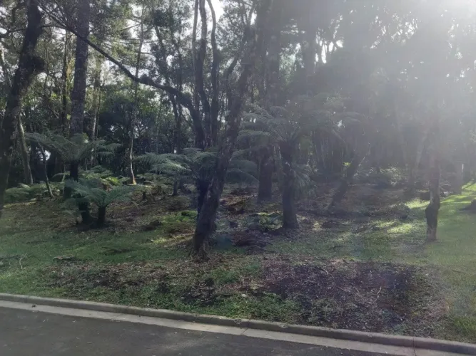 Lotes no condominio O Bosque em Gramado