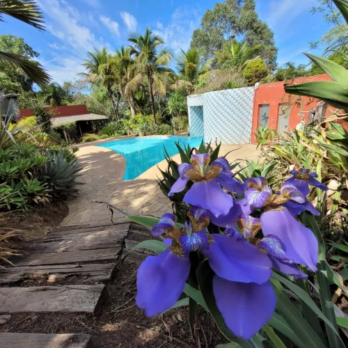 ALUGUEL DE SÍTIO PARA FAMILIA/ QUARTOS PARA DESCANSO E LAZER NA NATUREZA EM BETIM-MG
