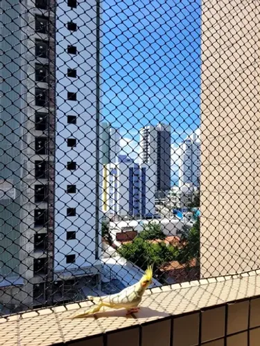 Rede tela proteção