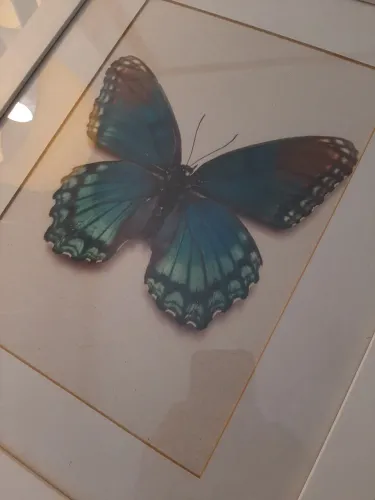 Tela trabalhada em folha de 180g escritório casa parede quadro decoração loja café