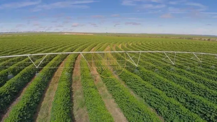 Fazenda Cafeeira a venda 2.050 hectares em Buritizeiro Minas Gerais