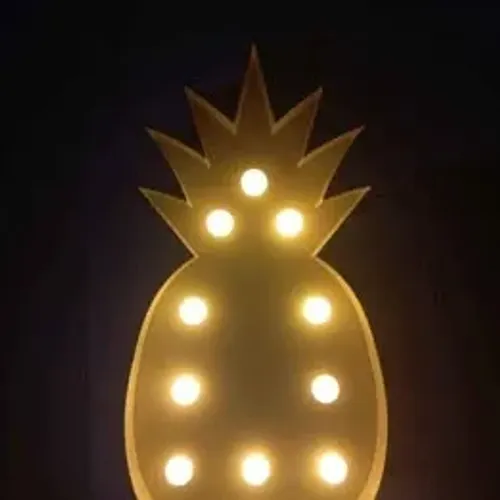 Iluminaria Abacaxi 10 Leds