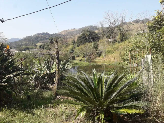 Sítio à Venda - Bairro Boa Vereda, Amparo - 367m2 - 3 Quartos