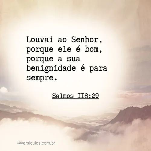 Pedreiro geral