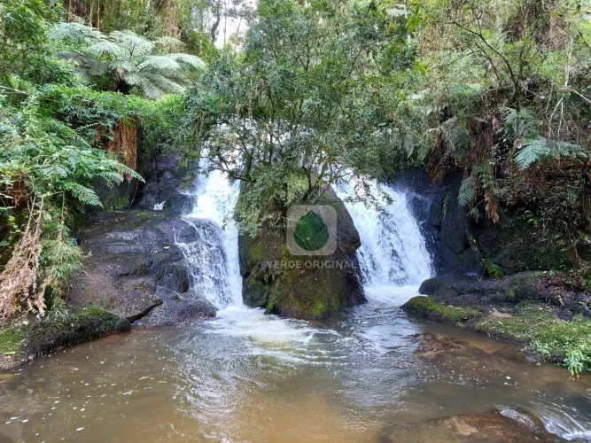 Sítio com Cachoeira Incrível, 3 dormitórios à venda, 34000 m² por R$ 3.900.000 - Venâncios