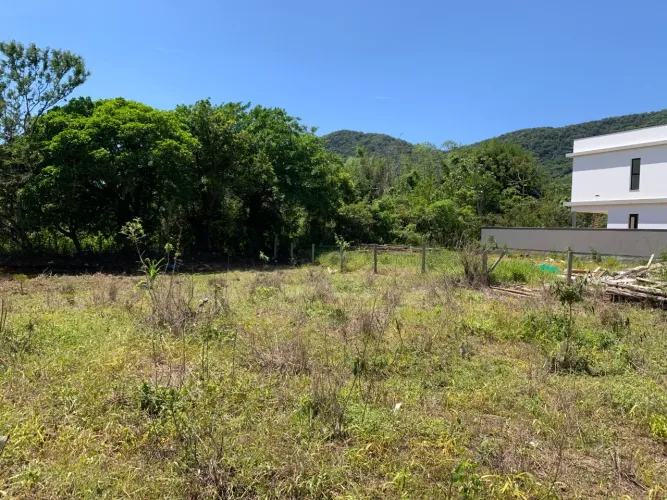 Excelente terreno com 461m no Ribeirão da ilha