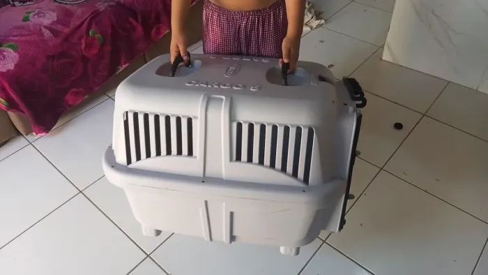 Caixa transporte