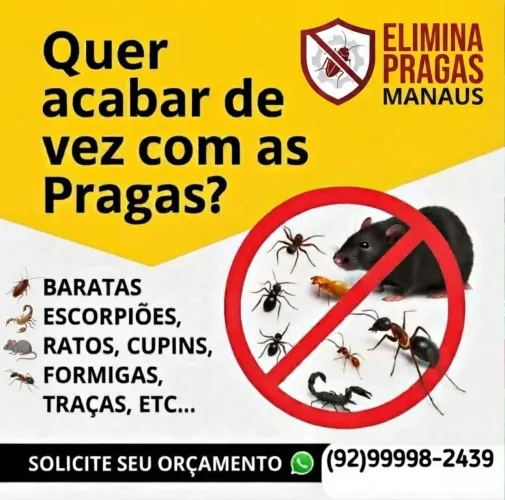 Dedetização 