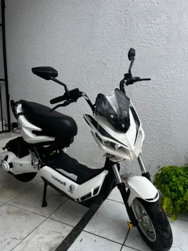 Moto eletrica