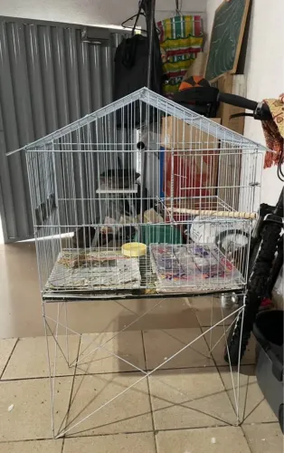 gaiola de metal grande