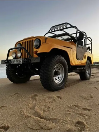Willys Overland Jeep 2.6 12V Gasolina 2P 1960