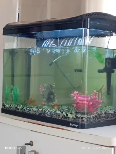 Vendo aquario