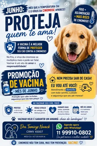PROMOÇÃO PACOTE VACINAS IMPORTADAS ATE DIA 30 DE JUNHO, APROVEITE?