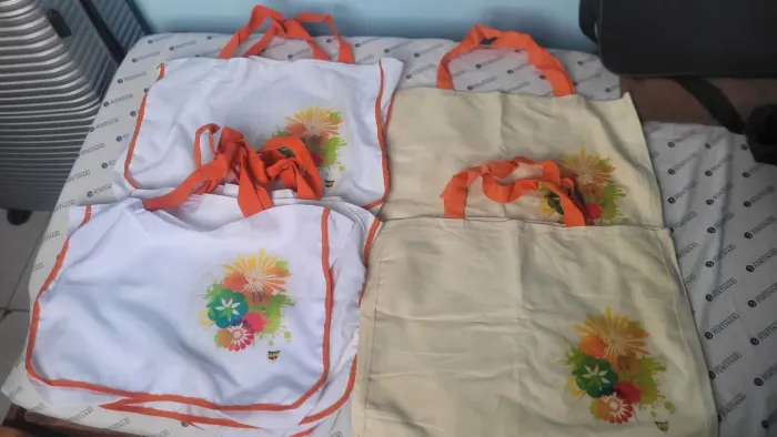 Lote de bolsas térmica e sacolas