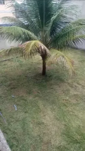 OPORTUNIDADE: Terreno 360m² (12x30). Em Maria Helena D.Caxias - Direto c/ Proprietário.