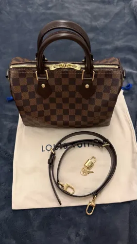 Bolsa Speedy 25 Damier Ebene
