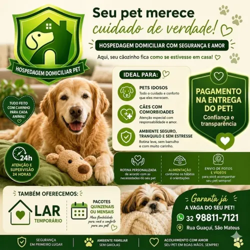 Hospedagem pet domiciliar 