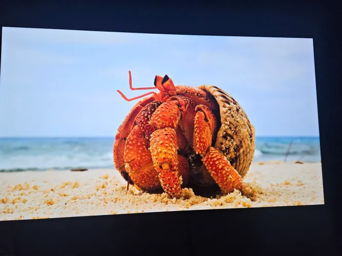Tv lg oled c3