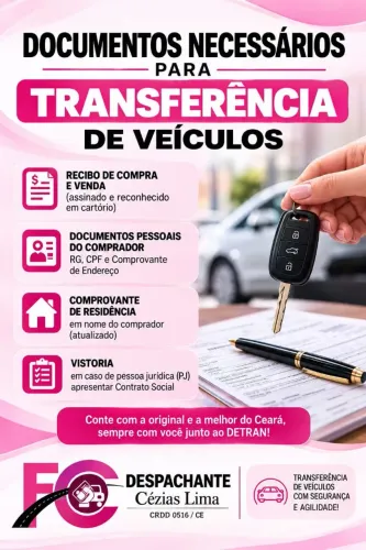Despachante documentalista