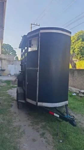 Carretinha para 2 cavalos