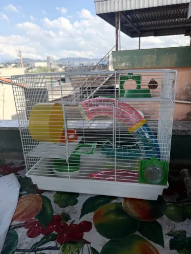 Gaiola de hamster