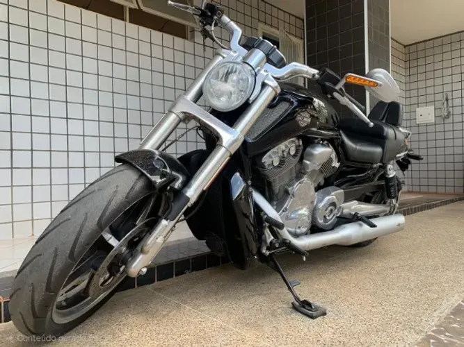 V-Rod Muscle 1.250