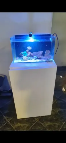 AQUÁRIO MARINHO COM ARMÁRIO