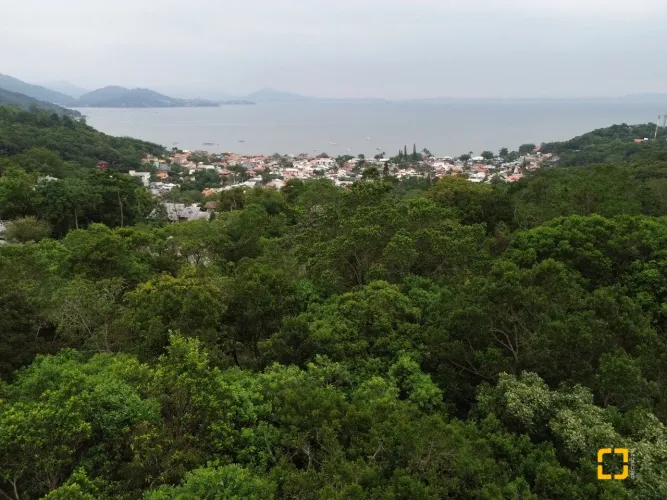 Brognoli Vende - Terreno Com 14.106,35 m² Em Sambaqui