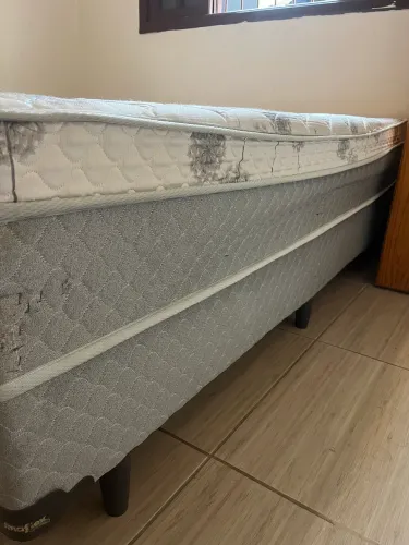 Cama