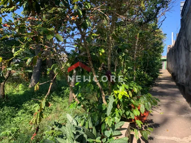 Lote em Avenida Maria José Vasconcellos Mankel - Vila Clarice - São Paulo/SP