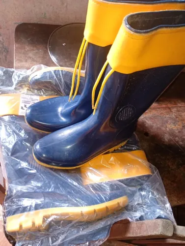 Bota Cano longo Nova / T:39