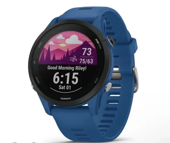 Garmin Forerunner 255