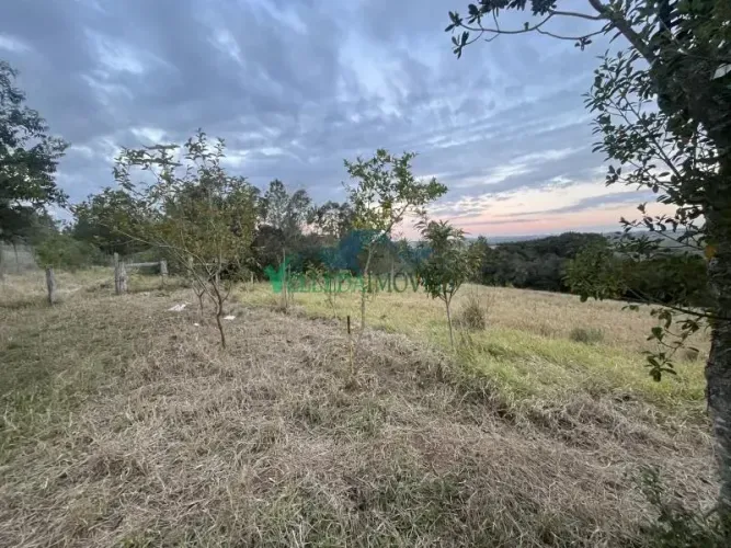 Velleda oferece excelente terreno amplo e arborizado - Ideal para moradia ou investimento!