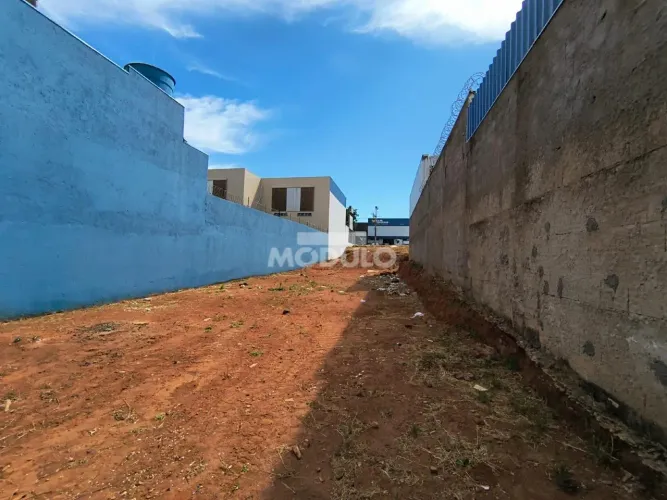 Terreno comercial disponível para locação no bairro Marta Helena.