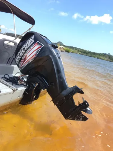 Motor mercury 60hp 
