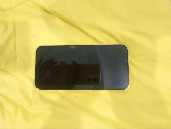 iPhone 13 Pro Max- excelente estado + capinha