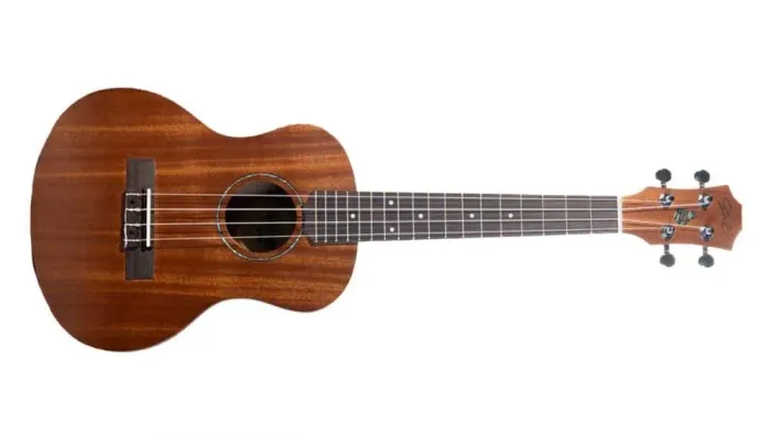 Vendo ukulele