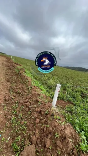 Plantão nesse final de semana