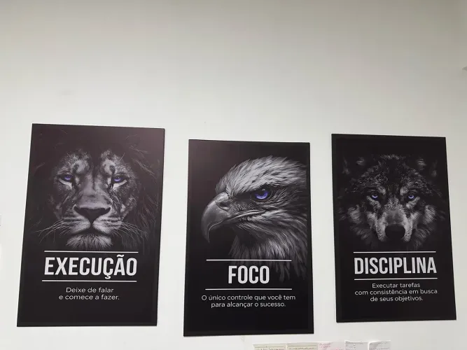 Quadros (execução , foco e disciplina )