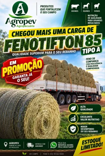 Feno Rolo Tifton 86