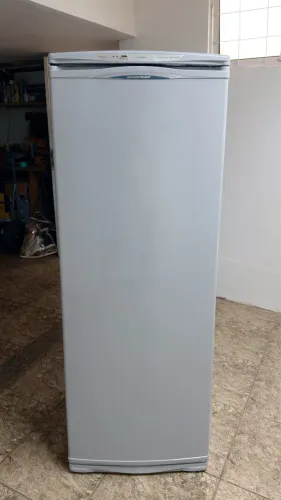 Freezer Brastemp - Frost Free (258 litros)
