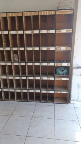 ORGANIZADOR COLMEIA
