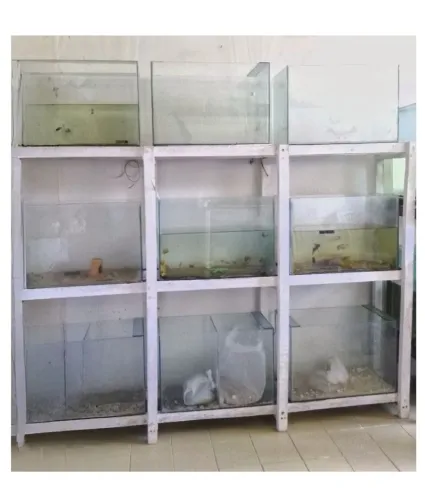 Combo de estante e acessórios para peixes ornamentais