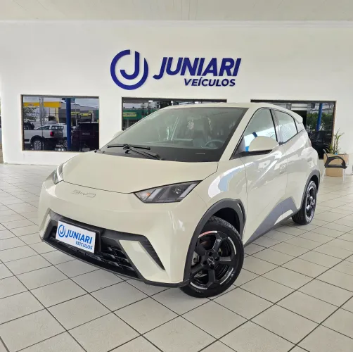 BYD D1 EV (elétrico) 2025