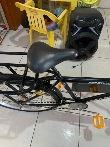 Bicicleta cargueira 